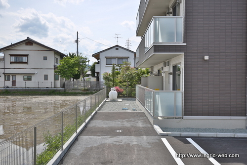 003330-4.jpg
