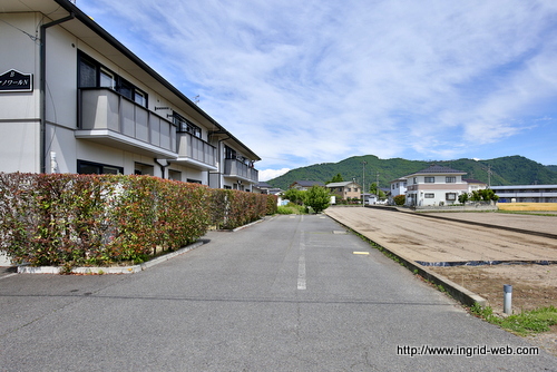 003390-4.jpg