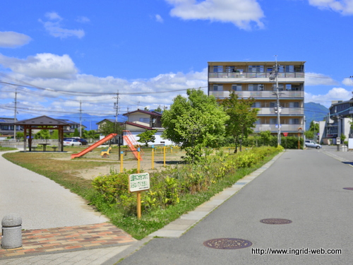 003828-1.jpg